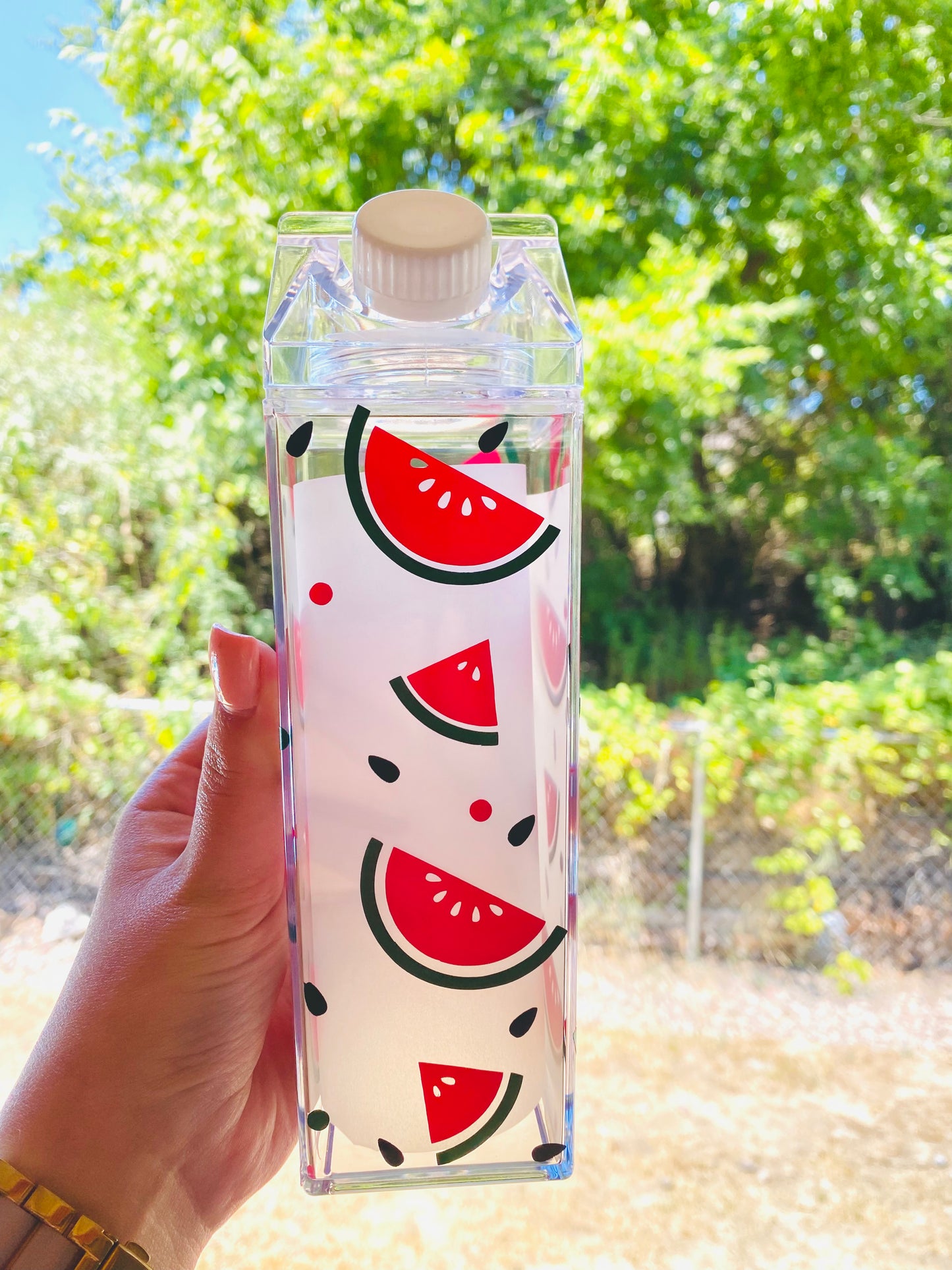 Watermelon Milk Carton Water Bottle RTS