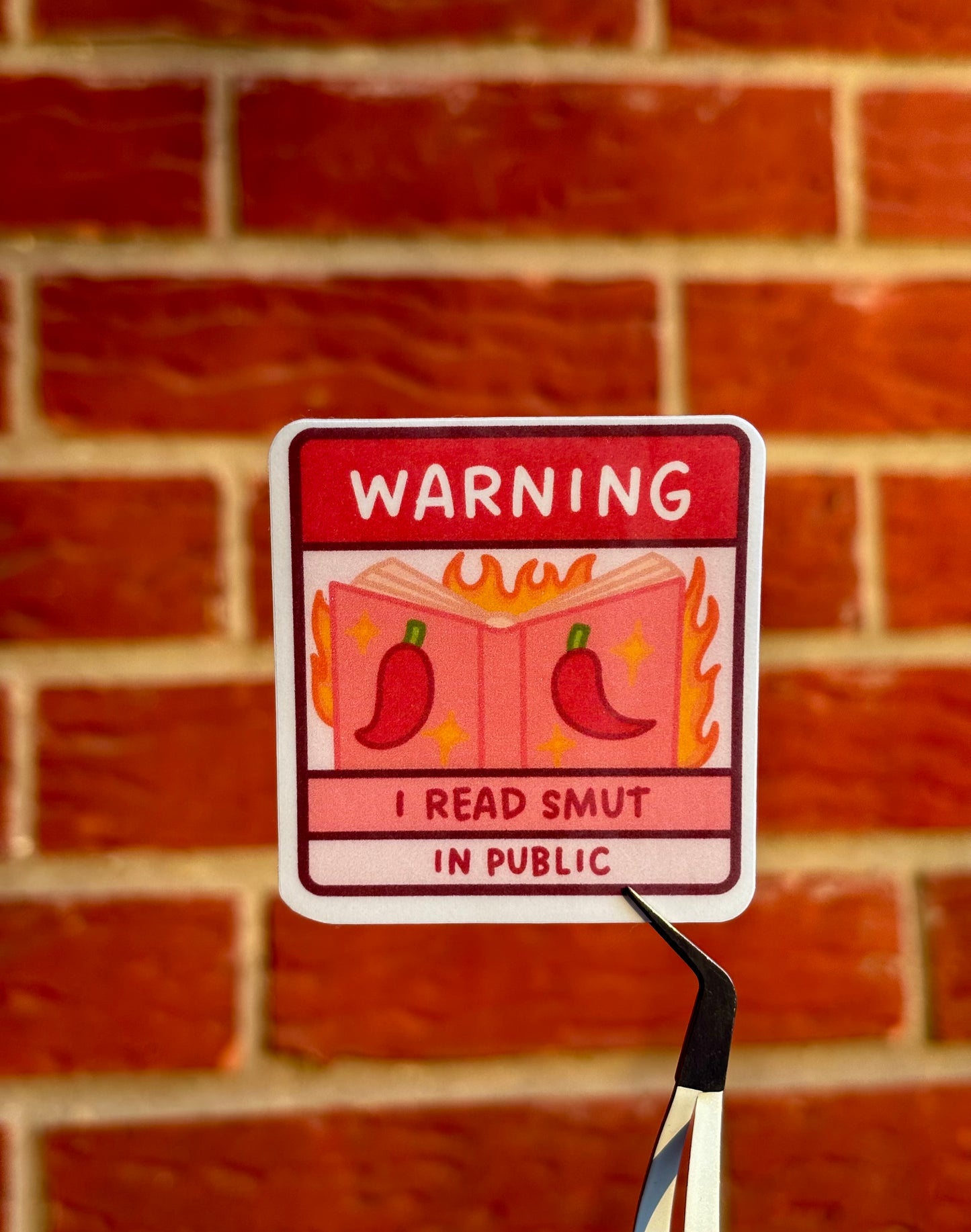 Warning I Read Smut In Public Sticker